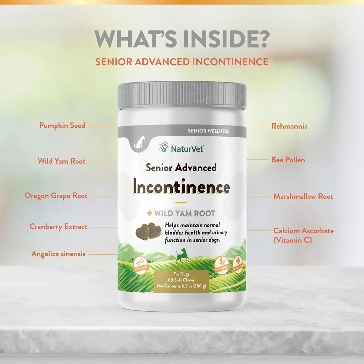 NATURVET - NaturVet Senior Advanced Incontinence Dog Supplement 60 Masticables - The Red Vitamin MX - Salud De Tracto Urinario Para Perros - {{ shop.shopifyCountryName }}