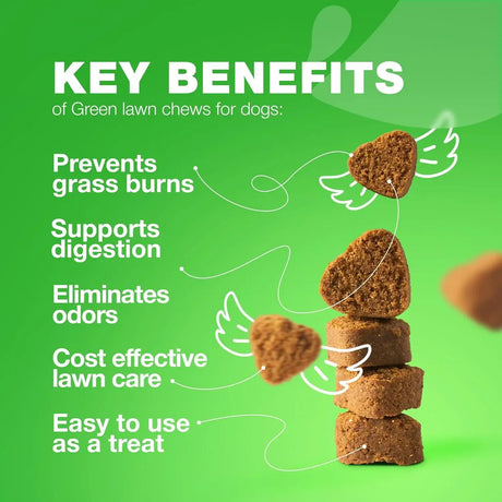 CHEWIA - CHEWIA Grass Burn Spot Chews for Dogs Duck 180 Masticables - The Red Vitamin MX - Salud De Tracto Urinario Para Perros - {{ shop.shopifyCountryName }}