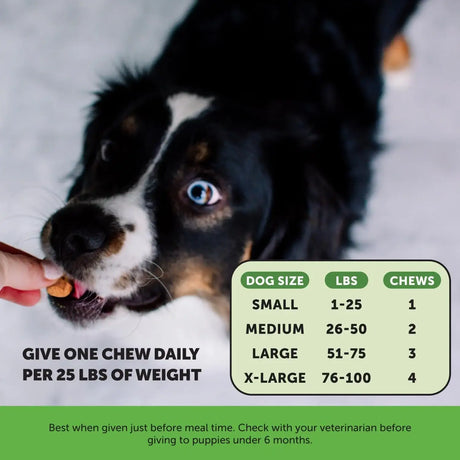 PET HONESTY - Pet Honesty Bladder Health Cranberry Supplement for Dogs Bacon 90 Masticables - The Red Vitamin MX - Salud De Tracto Urinario Para Perros - {{ shop.shopifyCountryName }}