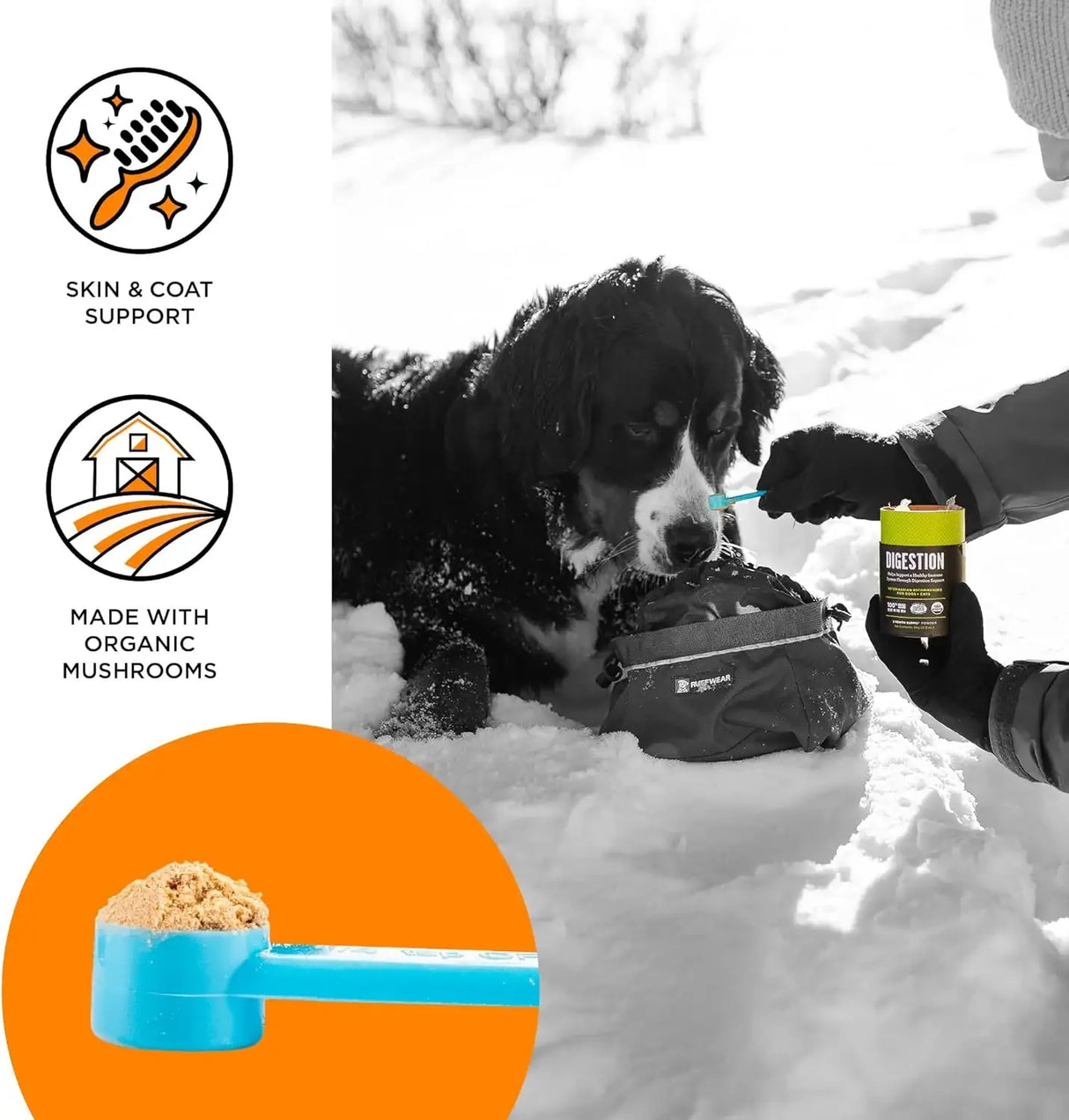 BIXBI - BIXBI Skin & Coat Support for Dogs & Cats Powder 60Gr. - The Red Vitamin MX - Remedios Para La Picazón De Perros - {{ shop.shopifyCountryName }}