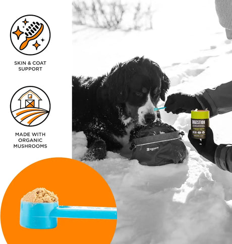 BIXBI - BIXBI Skin & Coat Support for Dogs & Cats Powder 60Gr. - The Red Vitamin MX - Remedios Para La Picazón De Perros - {{ shop.shopifyCountryName }}