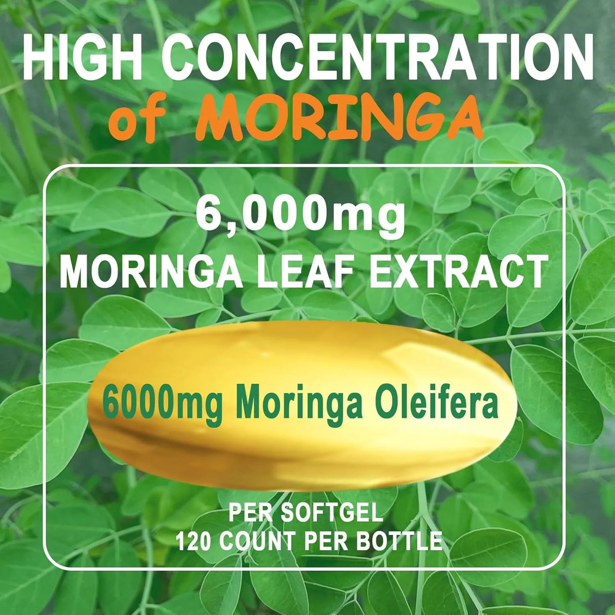 JINGYAT - JINGYAT Moringa 120 Capsulas Blandas - The Red Vitamin MX - Suplementos Alimenticios - {{ shop.shopifyCountryName }}