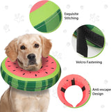 MIDOG Inflatable Dog Cone Collar Watermelon MEDIUM Neck 11"-14"