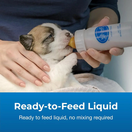 PETAG - Pet-Ag Goat’s Milk Esbilac Liquid 325Ml. - The Red Vitamin MX - Sustitutos De Leche Para Perros - {{ shop.shopifyCountryName }}