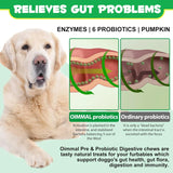 OIMMAL - Oimmal Probiotics for Dogs Digestive Health 120 Masticables - The Red Vitamin MX - Probióticos Para Perros - {{ shop.shopifyCountryName }}