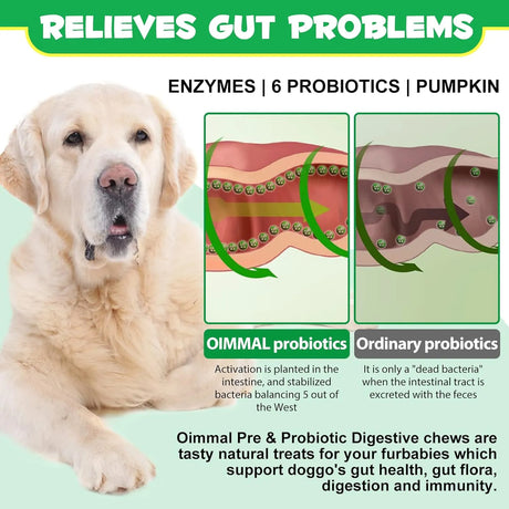 OIMMAL - Oimmal Probiotics for Dogs Digestive Health 120 Masticables - The Red Vitamin MX - Probióticos Para Perros - {{ shop.shopifyCountryName }}