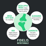 FIDELIS Joint Support Plus+ Hip & Joint Supplement for Dogs 60 Masticables