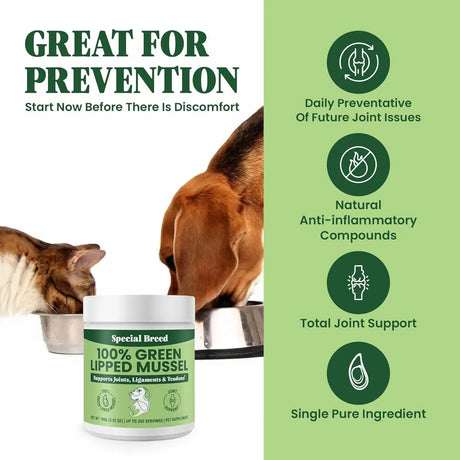SPECIAL BREED - Special Breed Green Lipped Mussel Powder for Dogs & Cats 100Gr. - The Red Vitamin MX - Cuidado De Cadera Y Articulaciones Para Perros - {{ shop.shopifyCountryName }}
