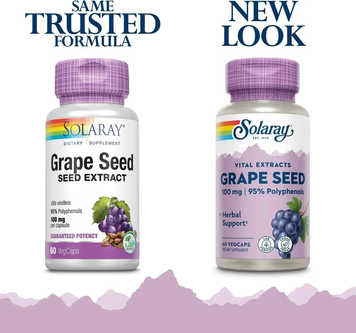 SOLARAY - Solaray Grape Seed Extract 100Mg. Plus Bioflavonoid Complex 60 Capsulas - The Red Vitamin MX - Suplementos Alimenticios - {{ shop.shopifyCountryName }}