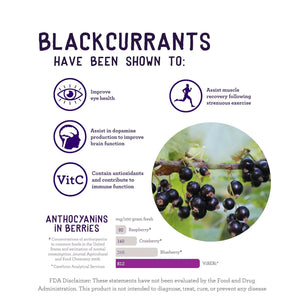 VIBERI - ViBERi NZ Organic Blackcurrant Powder 450Gr. - The Red Vitamin MX - Suplementos Alimenticios - {{ shop.shopifyCountryName }}