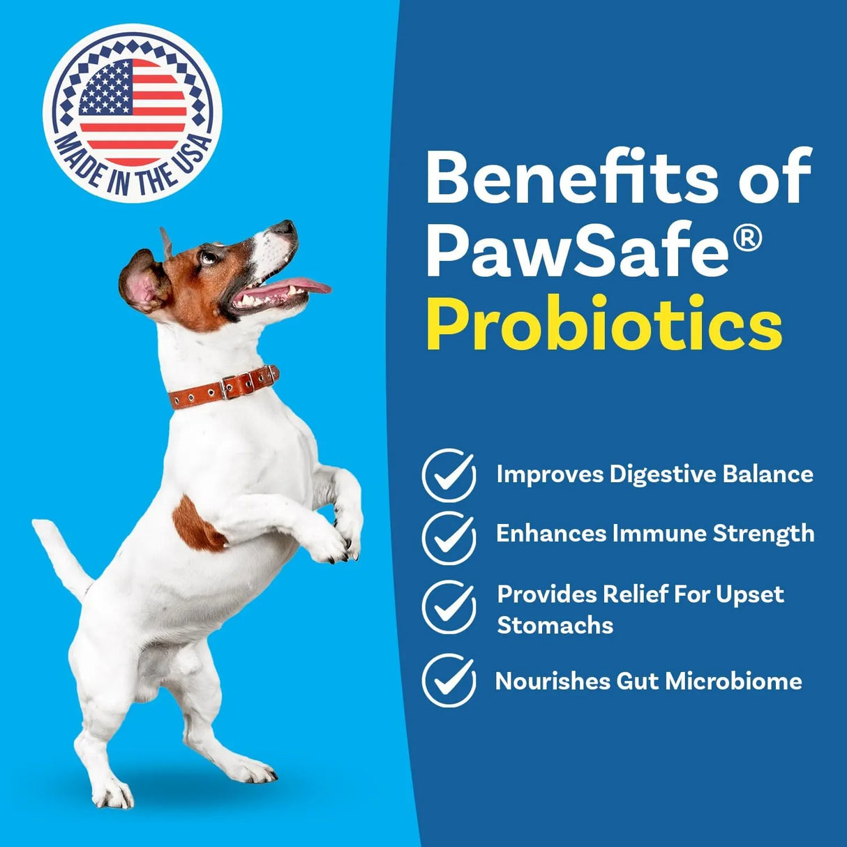 PAWSAFE - PawSafe Dog Probiotics Honey Chicken Flavor 120 Masticables - The Red Vitamin MX - Probióticos Para Perros - {{ shop.shopifyCountryName }}