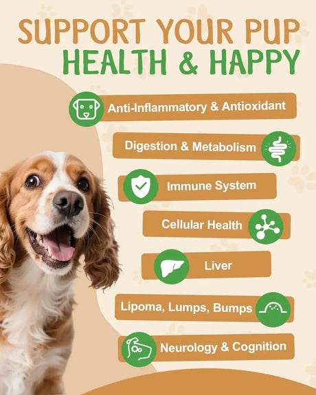 SANTKOL - SANTKOL 9 in 1 Mushroom Supplement for Dogs 60Ml. - The Red Vitamin MX - Suplementos Herbales Para Perros - {{ shop.shopifyCountryName }}