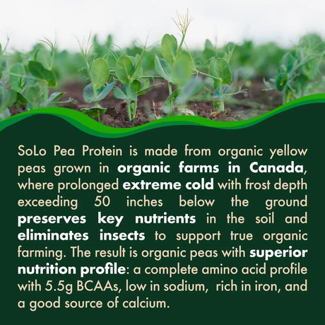 FOLONA - SOLO Organic Pea Protein Isolate Unflavored 1,225Gr. - The Red Vitamin MX - Suplementos Alimenticios - {{ shop.shopifyCountryName }}
