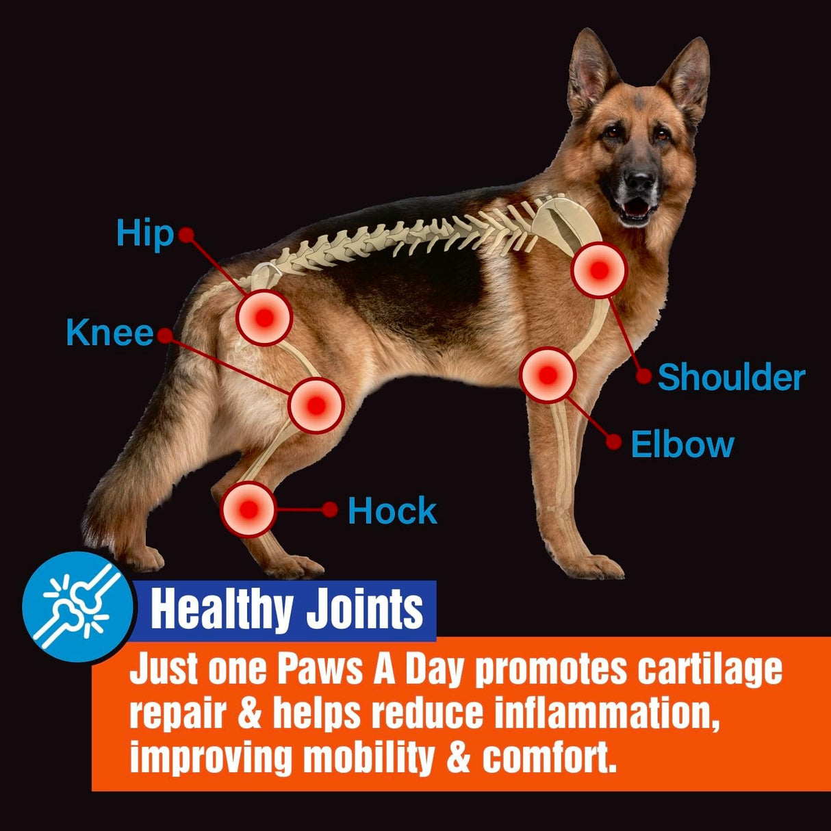 Paws A Day Glucosamine for Dogs Hip & Joint Supplement 60 Masticables