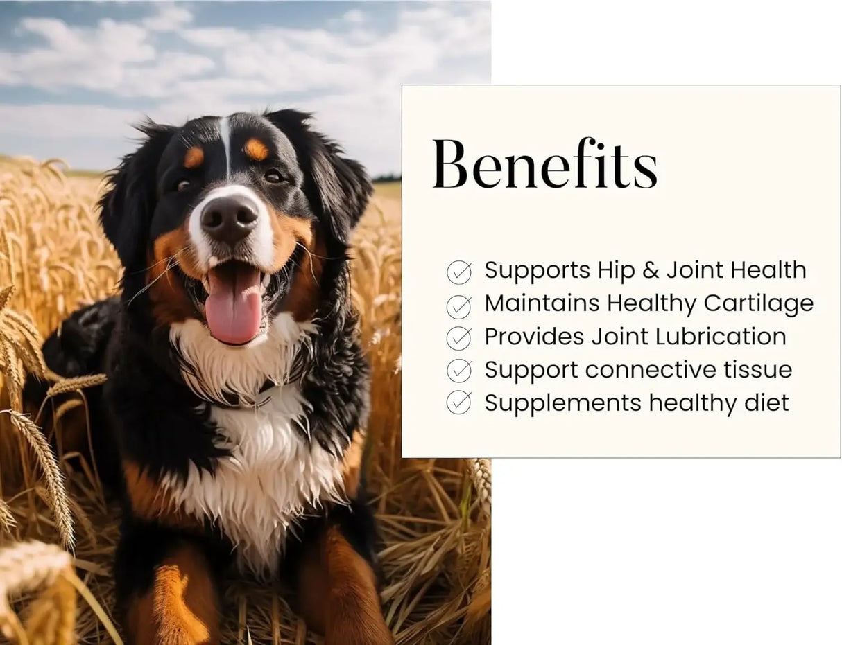 WOOFY - Woofy Maximum Strength Hip & Joint Health Supplement for Dogs 90 Masticables - The Red Vitamin MX - Cuidado De Cadera Y Articulaciones Para Perros - {{ shop.shopifyCountryName }}