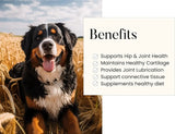 WOOFY - Woofy Maximum Strength Hip & Joint Health Supplement for Dogs 90 Masticables - The Red Vitamin MX - Cuidado De Cadera Y Articulaciones Para Perros - {{ shop.shopifyCountryName }}