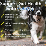IHEARTDOGS - iHeartDogs 24-in-1 Adult Dog Multivitamin 60 Servicios 120Gr. - The Red Vitamin MX - Multivitamínicos Para Perros - {{ shop.shopifyCountryName }}