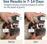 COZYFUN - Cozyfun Dental Powder 80Gr. - The Red Vitamin MX - Cuidado Dental Para Perros - {{ shop.shopifyCountryName }}