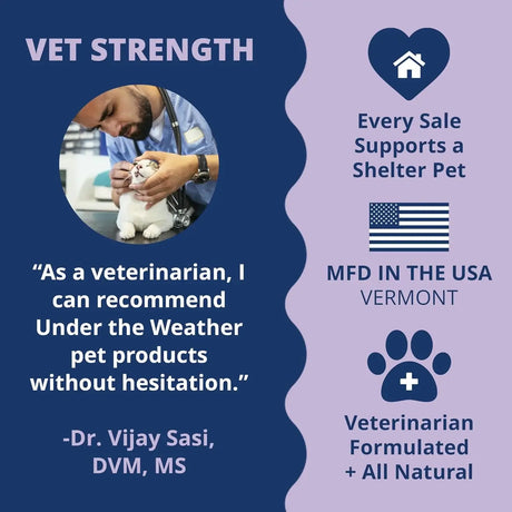 UNDER THE WEATHER - Under the Weather Pet PB & CHILL Dog Peanut Butter Dog Treats 6 Pack - The Red Vitamin MX - Relajantes Para Perros - {{ shop.shopifyCountryName }}