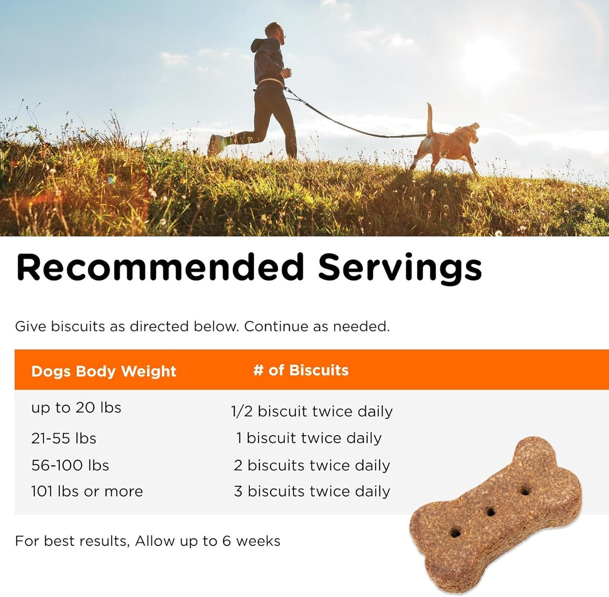 Nutri-Vet Skin & Coat Biscuits for Dogs 454Gr. 2 Pack
