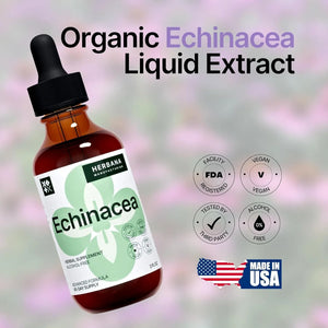 HERBANA - Herbana Echinacea Liquid Extract 2 Fl.Oz. - The Red Vitamin MX - Suplementos Alimenticios - {{ shop.shopifyCountryName }}