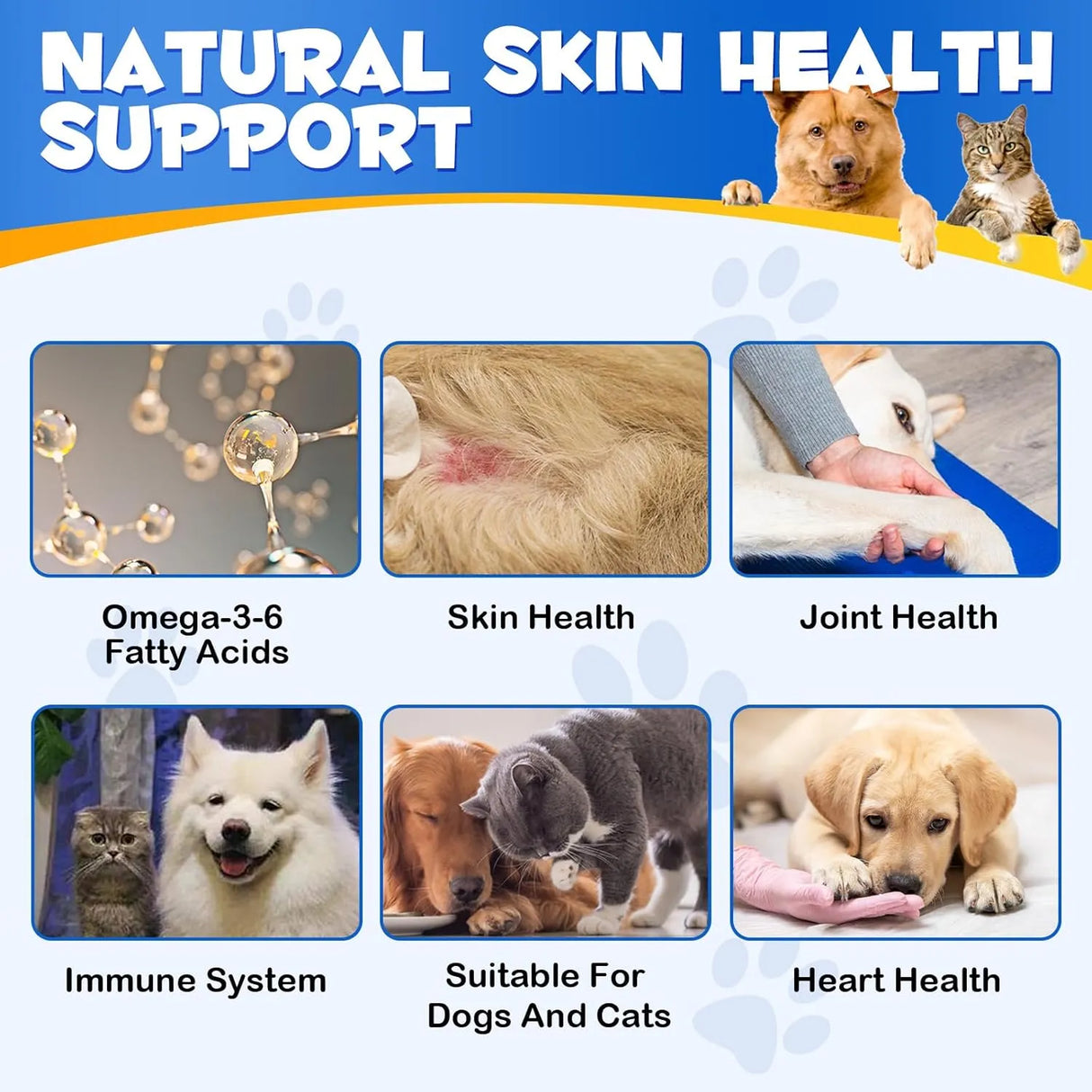 OIMMAL - Oimmal Omega-3 Pet 120 Capsulas Blandas - The Red Vitamin MX - Aceite De Pescado Para Perros - {{ shop.shopifyCountryName }}