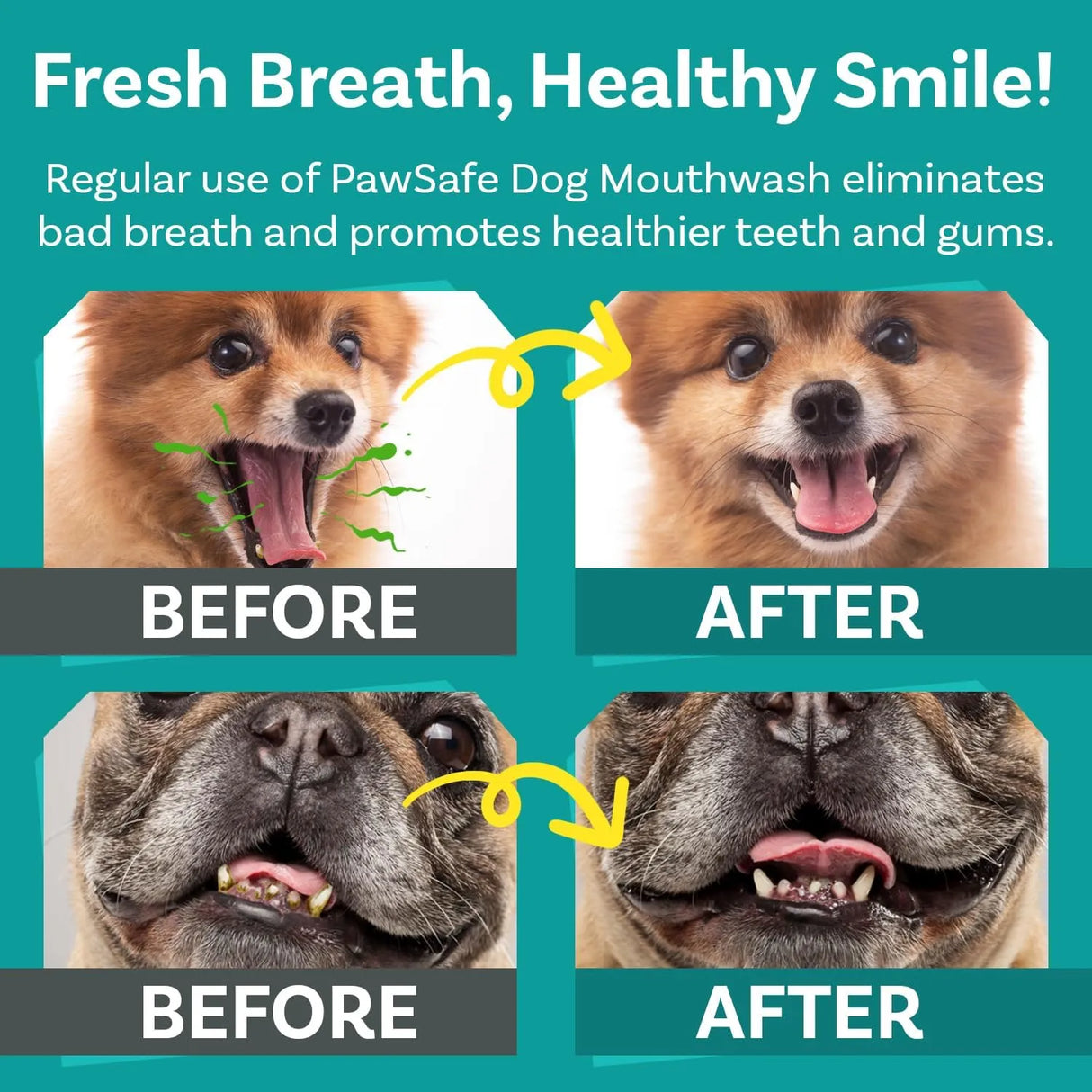 PAWSAFE - PawSafe Dog Mouthwash Dental Water Additive 473Ml. - The Red Vitamin MX - Cuidado Dental Para Perros - {{ shop.shopifyCountryName }}