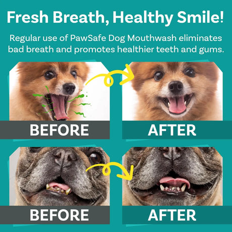 PAWSAFE - PawSafe Dog Mouthwash Dental Water Additive 473Ml. - The Red Vitamin MX - Cuidado Dental Para Perros - {{ shop.shopifyCountryName }}