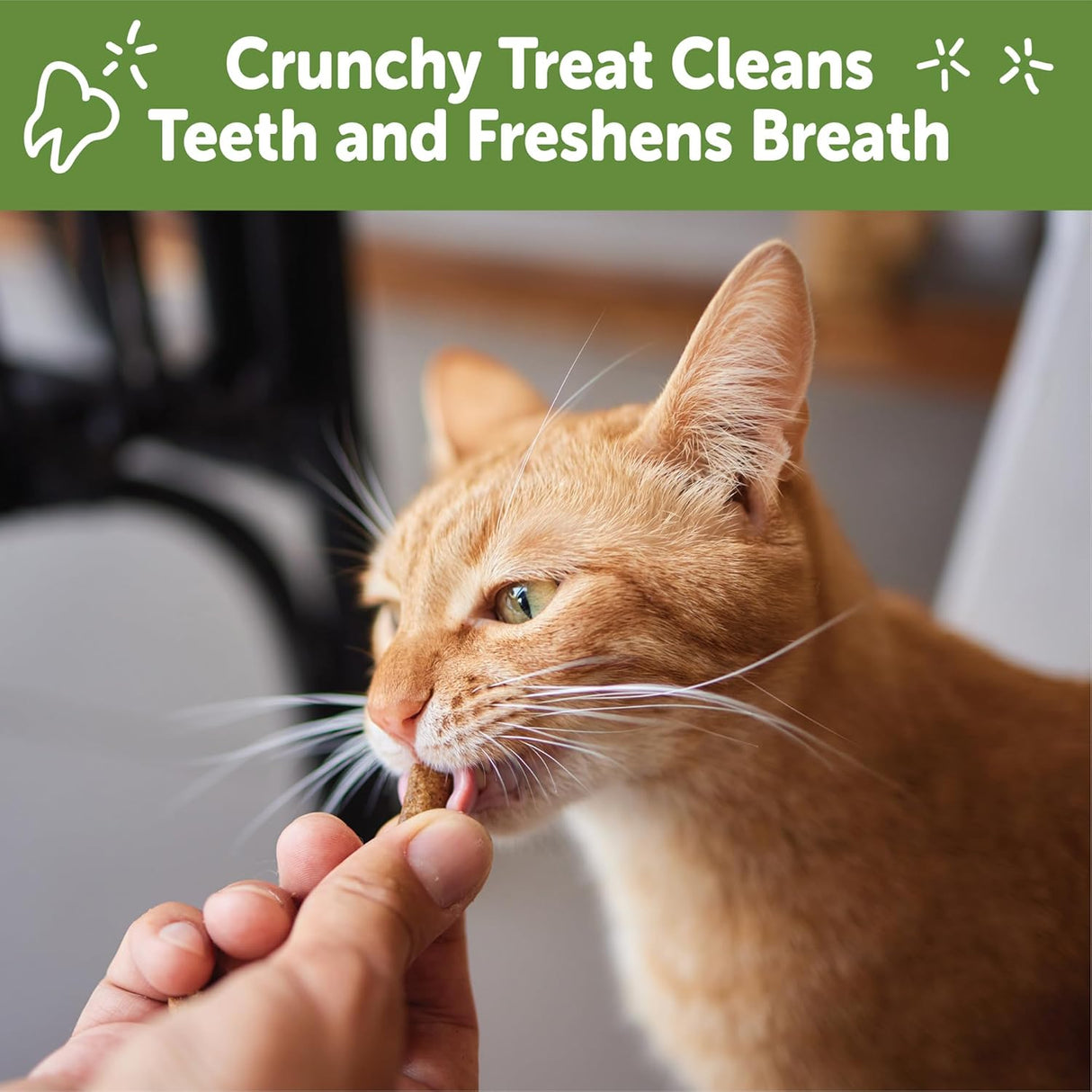 WHIMZEES Wellness Cat Dental Treats Natural Chews Chicken and Tuna Flavor 127Gr.