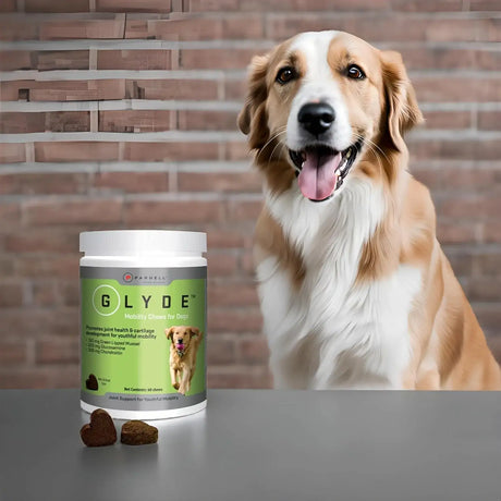 GLYDE - GLYDE Mobility Chews for Dogs Hip and Joint 120 Masticables - The Red Vitamin MX - Cuidado De Cadera Y Articulaciones Para Perros - {{ shop.shopifyCountryName }}