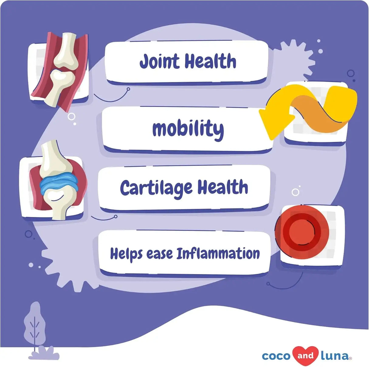 COCO AND LUNA - Coco and Luna Hip & Joint Supplement for Dogs 90 Masticables - The Red Vitamin MX - Cuidado De Cadera Y Articulaciones Para Perros - {{ shop.shopifyCountryName }}