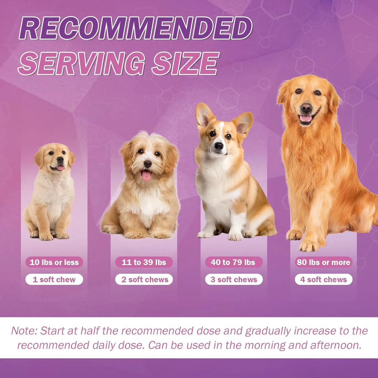 TTLXRL - TTLXRL Omega 3 Fish Oil for Dogs 200 Masticables - The Red Vitamin MX - Aceite De Pescado Para Perros - {{ shop.shopifyCountryName }}