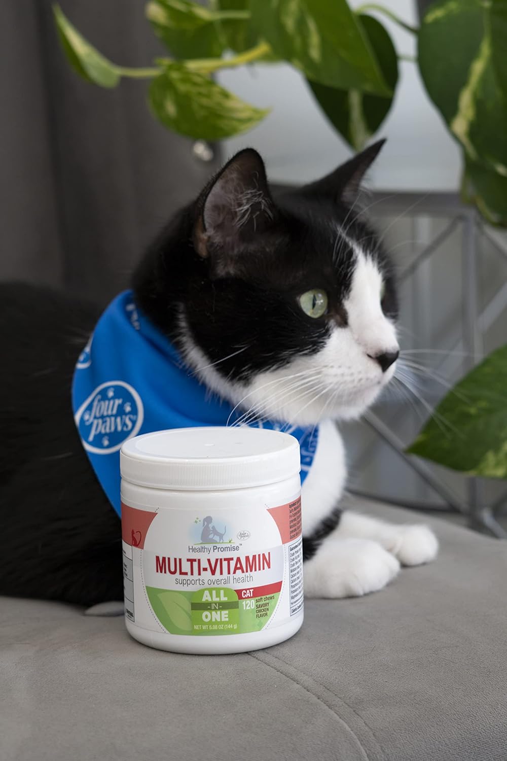 Four Paws Healthy Promise Cat Multivitamin Soft Chews 120 Masticables