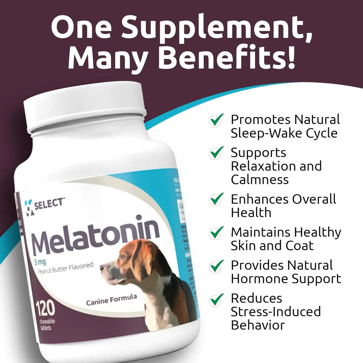 K9 SELECT - K9 Select Melatonin for Dogs Peanut Butter 3Mg. 120 Tabletas Masticables - The Red Vitamin MX - Relajantes Para Perros - {{ shop.shopifyCountryName }}