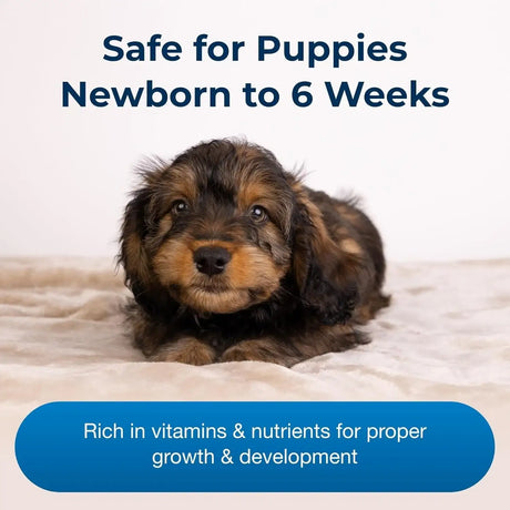 PETAG - Pet-Ag Esbilac Puppy Milk Replacer Powder Newborn to Six Weeks Old 340Gr. - The Red Vitamin MX - Sustitutos De Leche Para Perros - {{ shop.shopifyCountryName }}