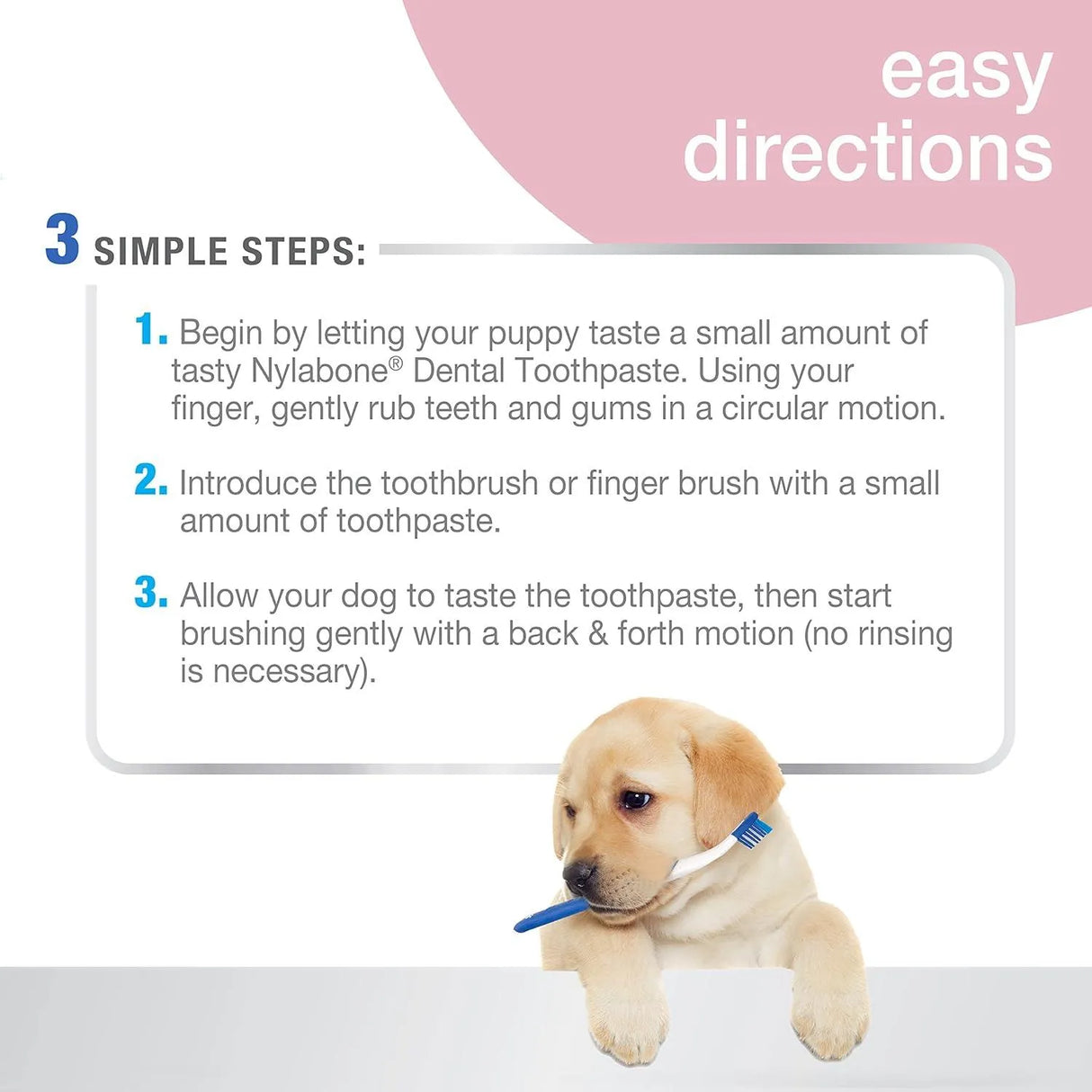 NYLABONE - Nylabone Advanced Oral Care Puppy Dental Kit Puppy Original 2.5 Oz. - The Red Vitamin MX - Cuidado Dental Para Perros - {{ shop.shopifyCountryName }}