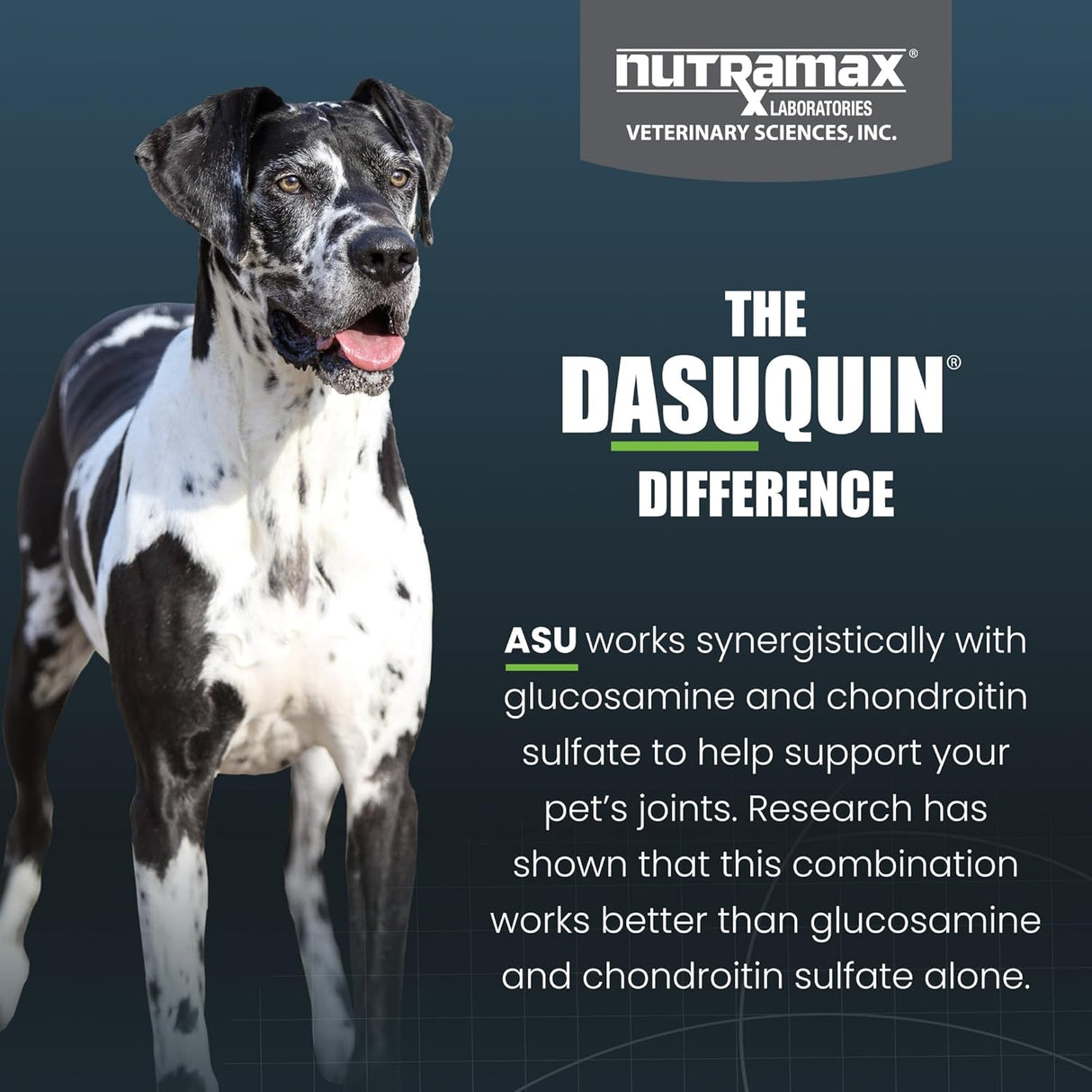 Nutramax Laboratories Dasuquin with MSM Joint Health for Large Dogs 84 Masticables