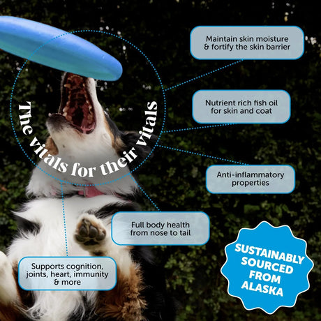 PET HONESTY - Pet Honesty Wild Alaskan Salmon Oil 32 Fl.Oz. - The Red Vitamin MX - Aceite De Pescado Para Perros - {{ shop.shopifyCountryName }}