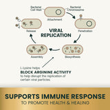 VetriScience Lysine Immunity Health Chews for Cats Chicken 90 Masticables