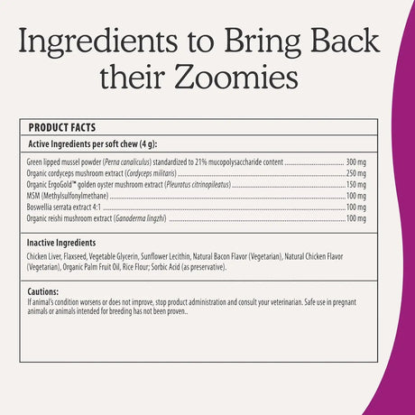 REAL MUSHROOMS - Real Mushrooms Mobility Chews for Dogs & Cats 60 Masticables - The Red Vitamin MX - Suplementos Herbales Para Perros - {{ shop.shopifyCountryName }}