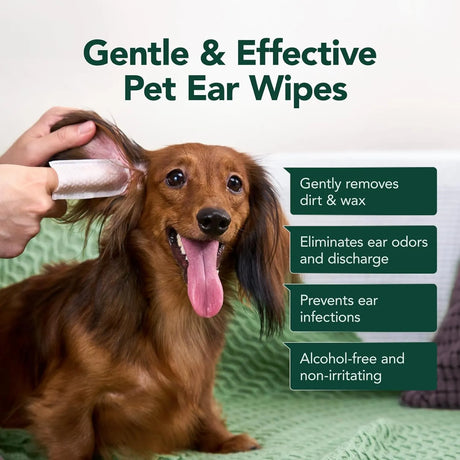 SMILEDENX - SmileDenX Dog Ear Cleaner Wipes Unscented 50 Toallitas 2 Pack - The Red Vitamin MX - Cuidado Del Oído De Perros - {{ shop.shopifyCountryName }}