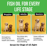 PAWSENTIAL - Pawsential Omega 3 Fish Oil for Dogs & Cats 8 Fl.Oz. - The Red Vitamin MX - Aceite De Pescado Para Perros - {{ shop.shopifyCountryName }}