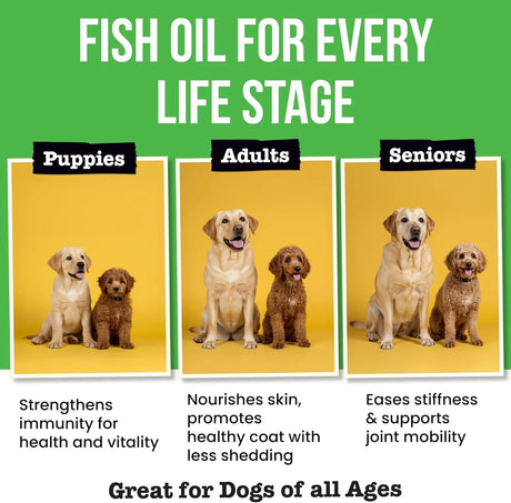 PAWSENTIAL - Pawsential Omega 3 Fish Oil for Dogs & Cats 8 Fl.Oz. - The Red Vitamin MX - Aceite De Pescado Para Perros - {{ shop.shopifyCountryName }}