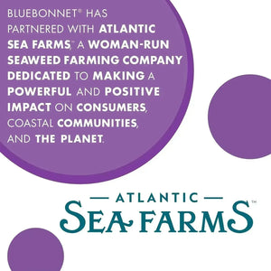 BLUEBONNET NUTRITION - Bluebonnet Nutrition Atlantic Sea Kelp Iodine 120 Capsulas - The Red Vitamin MX - Suplementos Alimenticios - {{ shop.shopifyCountryName }}