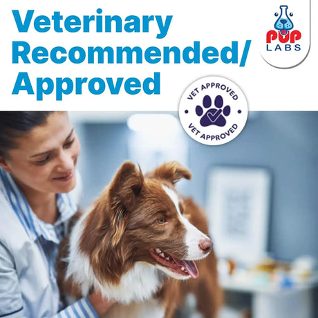 PUP LABS - Pup Labs Freedom Joint Chews 30 Masticables - The Red Vitamin MX - Cuidado De Cadera Y Articulaciones Para Perros - {{ shop.shopifyCountryName }}
