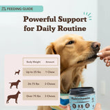 NATURAL DOG - Natural Dog Company Vet Strength Multivitamin Chews 90 Masticables - The Red Vitamin MX - Multivitamínicos Para Perros - {{ shop.shopifyCountryName }}