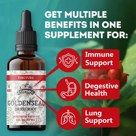 FLORIDA HERBS - Florida Herbs Goldenseal Root Tincture 2 Fl.Oz. - The Red Vitamin MX - Suplementos Alimenticios - {{ shop.shopifyCountryName }}