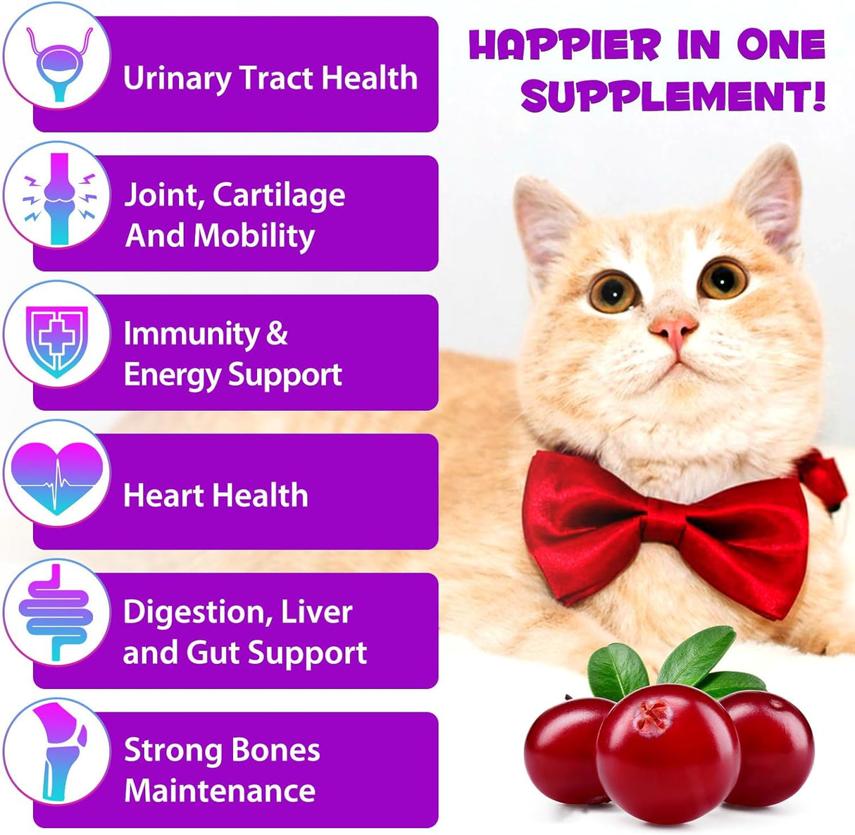 Oimmal 15-in-1 Multivitamin Drops for Cats 2 Fl.Oz.