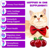 Oimmal 15-in-1 Multivitamin Drops for Cats 2 Fl.Oz.