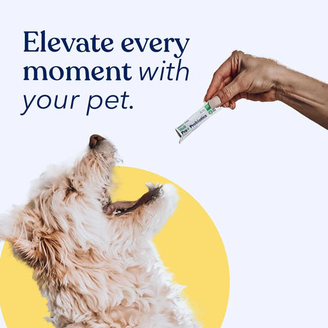 HONEST PAWS - Honest Paws Premium Probiotic Powder Chicken 30 Paquetes - The Red Vitamin MX - Probióticos Para Perros - {{ shop.shopifyCountryName }}